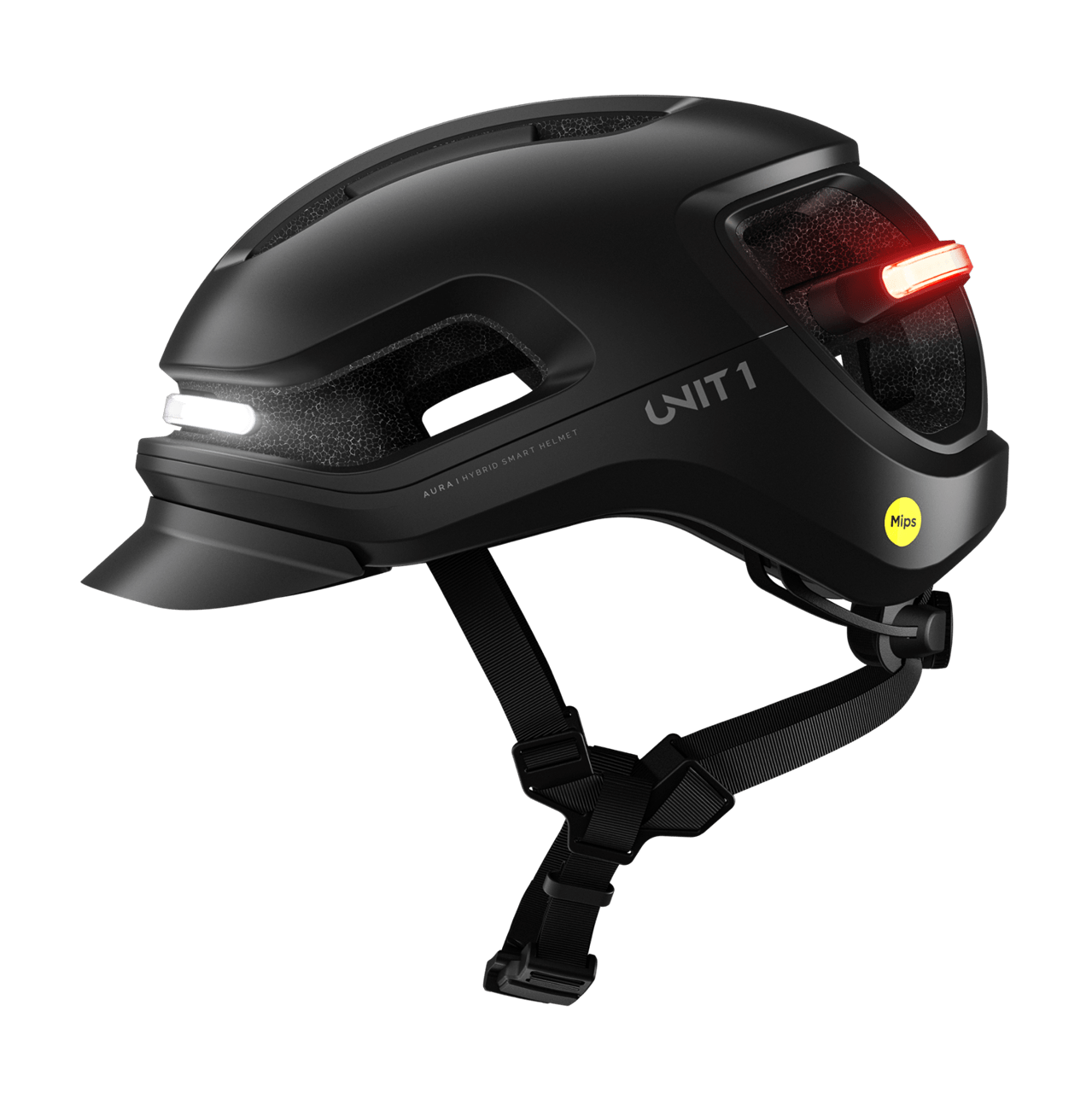 UNIT1-aura-blackbird